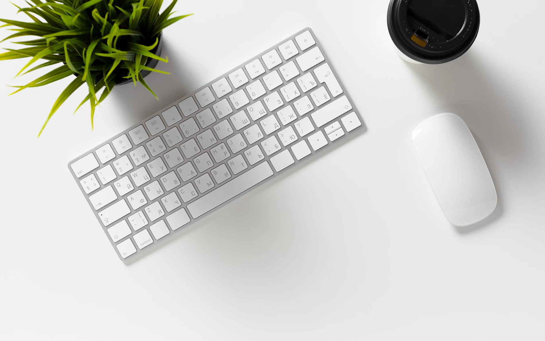 error image not found